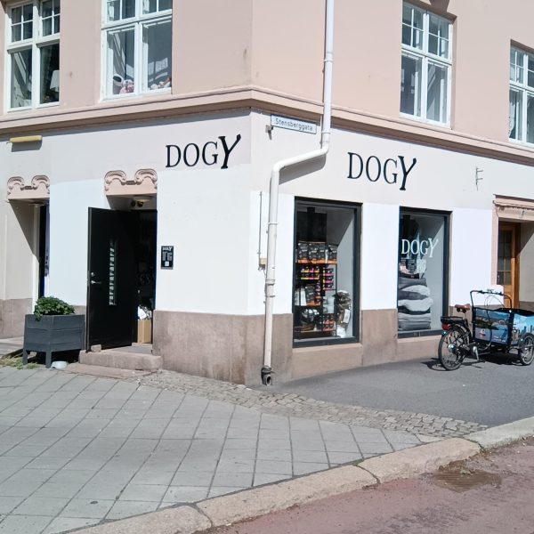 Fasade på butikken Dogy, to utfreste fasadeskilt med firmanavn og hvit folie på vinduene.