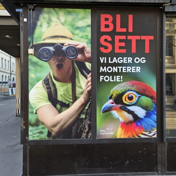 Folie med en fugl og en mann med kikkert, teksten er Bli sett